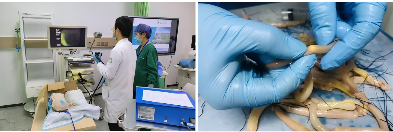 177226352673070614.png image.png